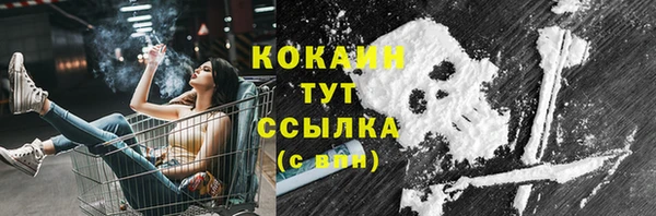 сатива Богородск