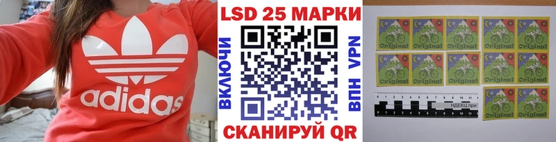 Марки N-bome 1,5мг  купить наркотики цена  Шахунья 
